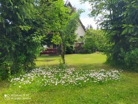 Apartament Lesny Supraśl Exterior foto